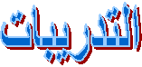 v:shapes="_x0000_s1025"